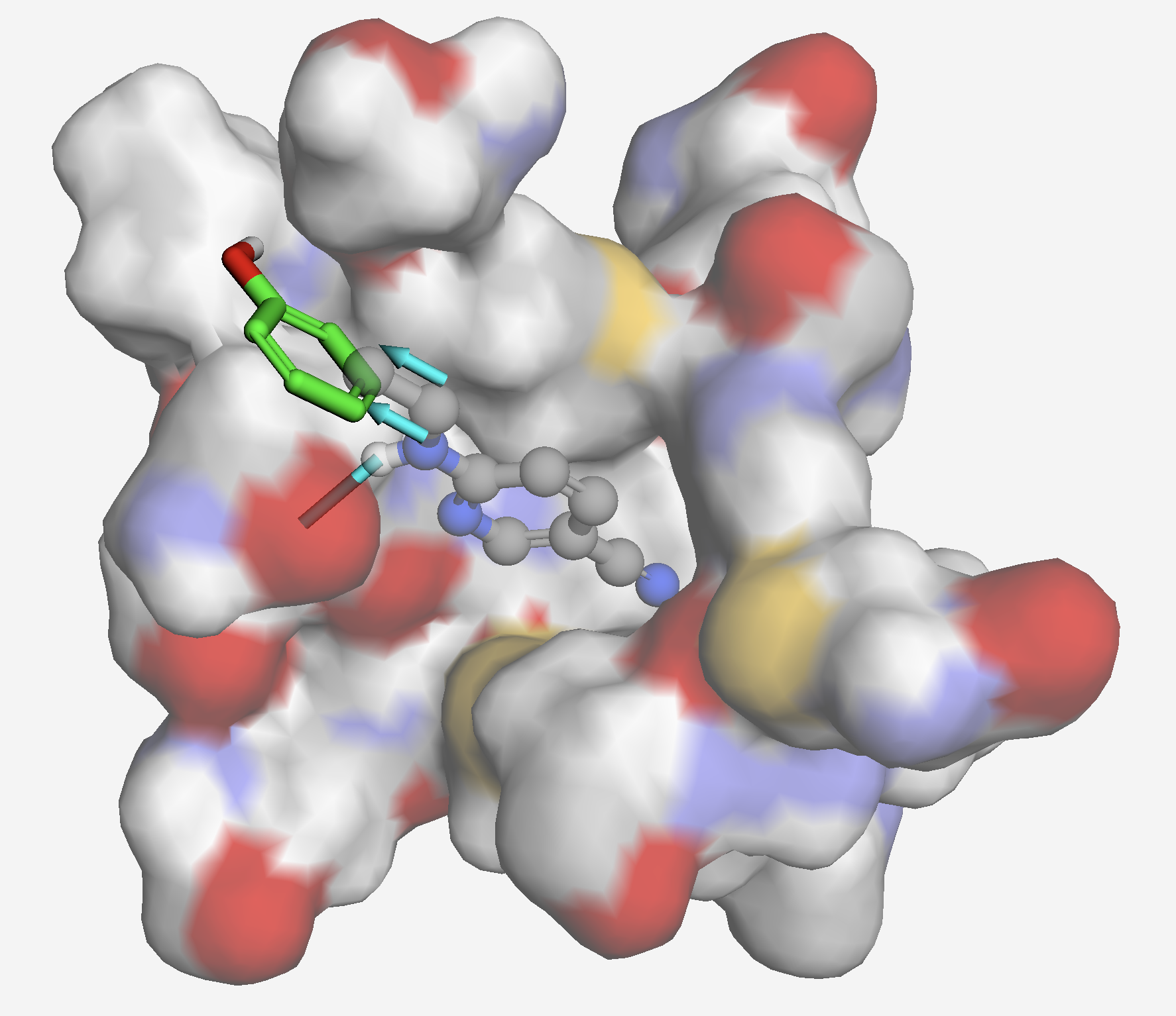 SARS-CoV-2 protein with phenol